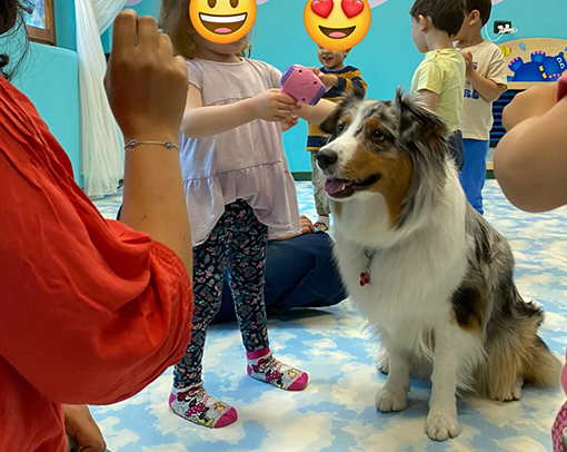 Pet therapy